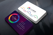 Infographic Business Card