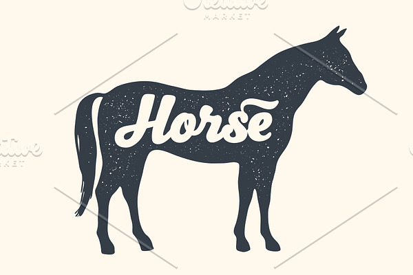 Horse, stallion, lettering. Design