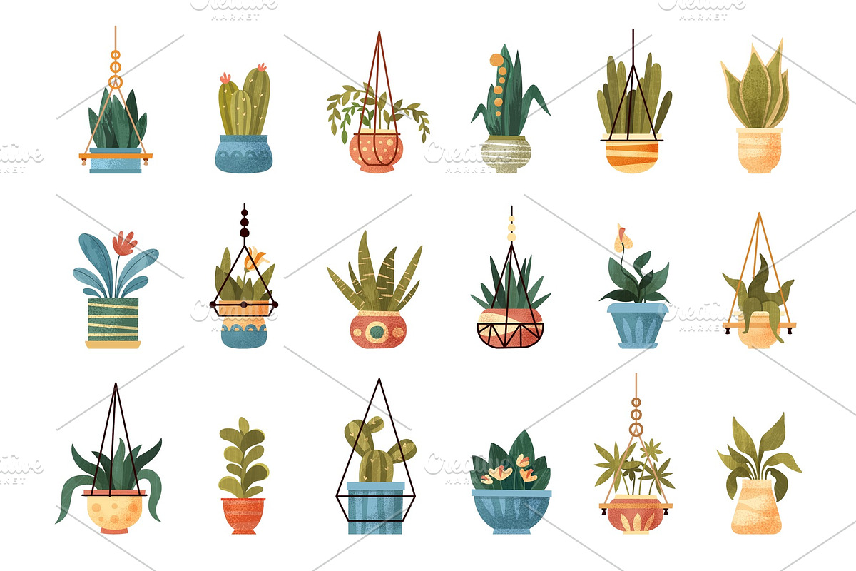 Houseplants in a pots set, elegant in Illustrations - product preview 8