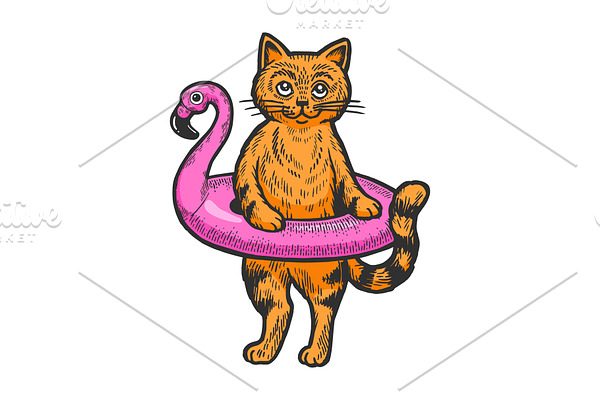 Cat in rubber ring color sketch