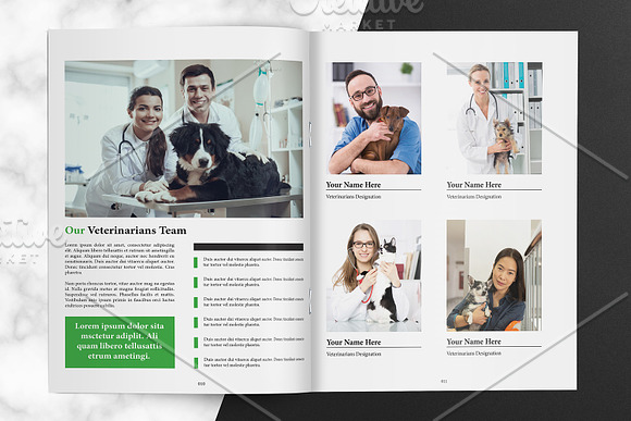 Veterinary Clinic Brochure V01 in Brochure Templates - product preview 3