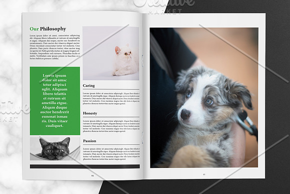 Veterinary Clinic Brochure V01 in Brochure Templates - product preview 5