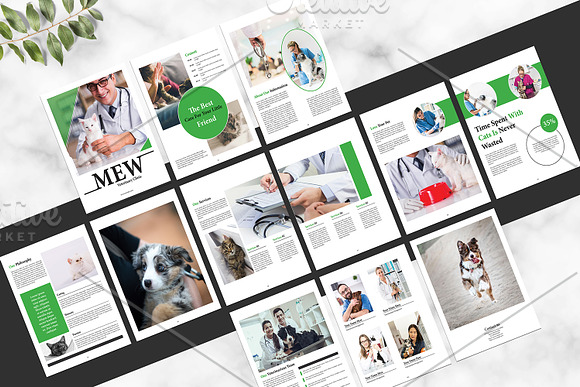Veterinary Clinic Brochure V01 in Brochure Templates - product preview 7