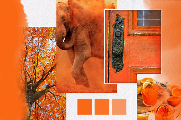 Pumpkin Orange watercolor textures in Textures - product preview 2