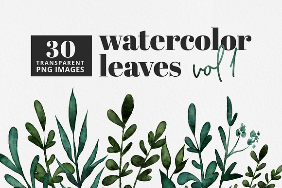 Watercolor Green Leaves | 30 Pc. Set in Illustrations - product preview 7