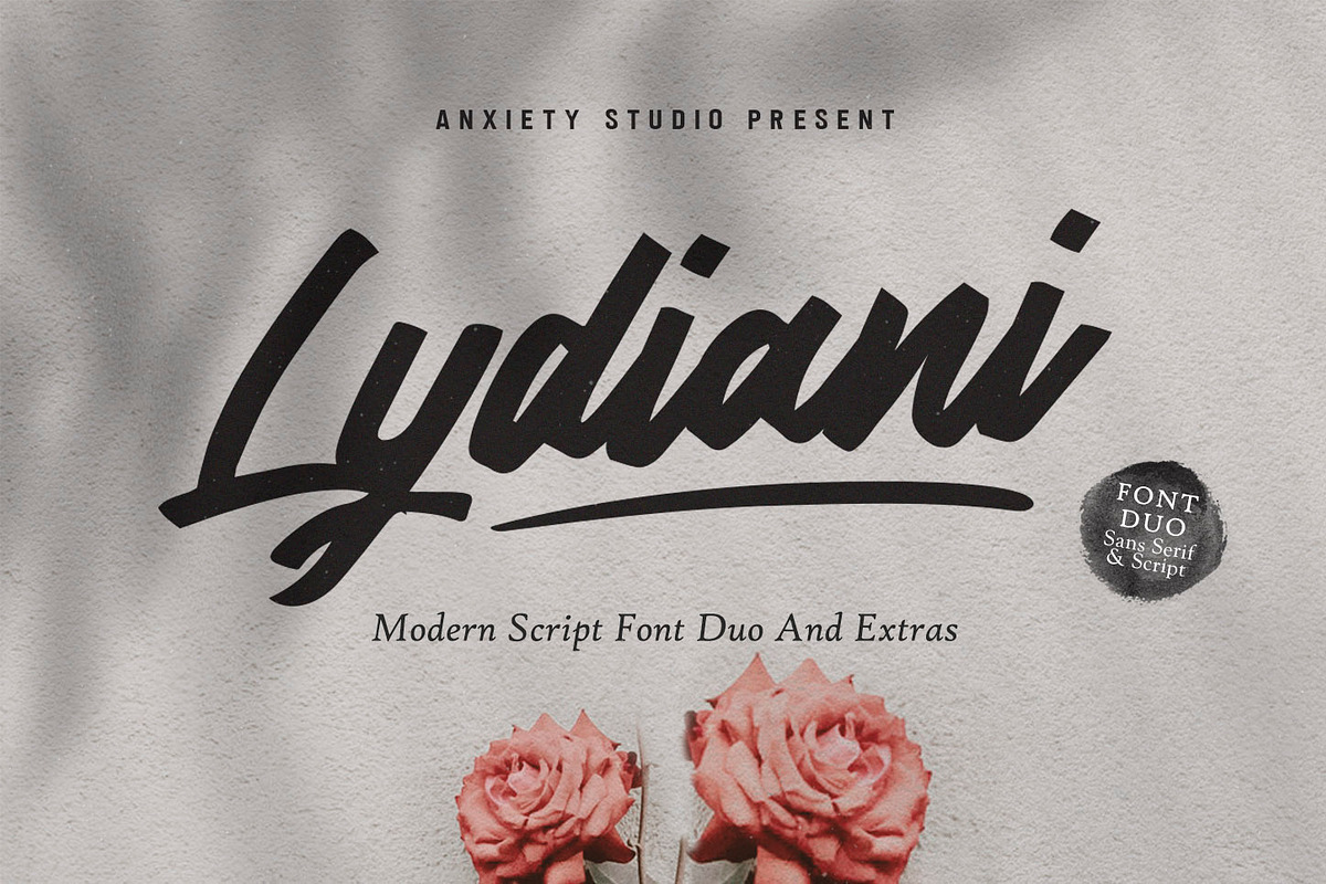 Lydiani Typeface // Font Duo in Display Fonts - product preview 8