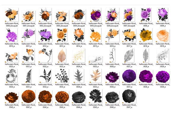 Halloween Floral Clipart in Illustrations - product preview 2