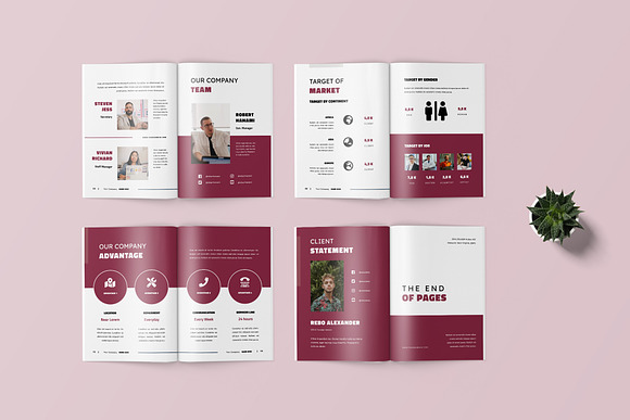 Client Proposal Template in Brochure Templates - product preview 1