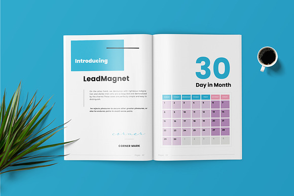 Leadmagnet Marketing Template in Brochure Templates - product preview 2