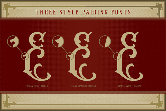 NS Emhericans Vintage Pairing Fonts in Display Fonts - product preview 5