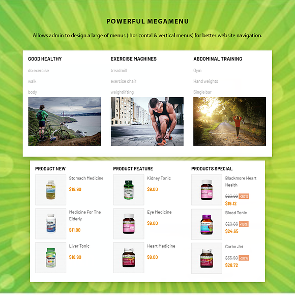 Ap Healthy in Website Templates - product preview 3