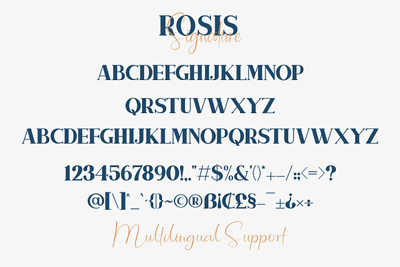 Rosis And Ballroom Font Duo in Serif Fonts - product preview 12