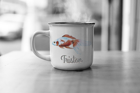 Goldfish Koi Vintage Illustration in Illustrations - product preview 3