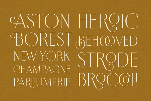 Borest - Elegant Roman Sans Serif in Sans-Serif Fonts - product preview 1