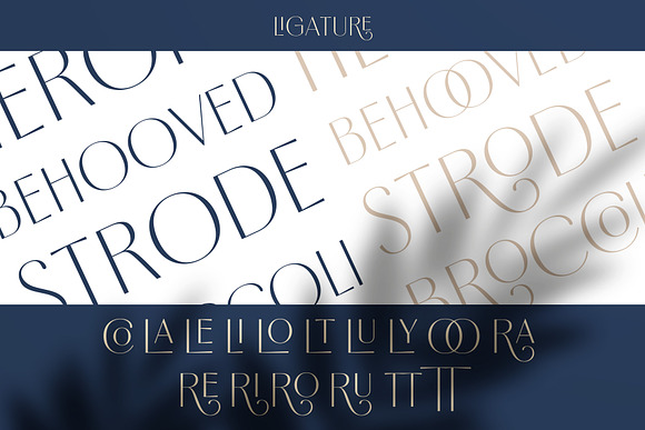 Borest - Elegant Roman Sans Serif in Sans-Serif Fonts - product preview 14