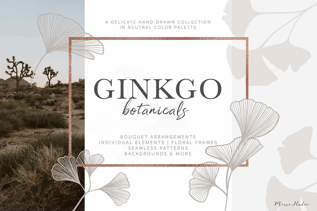Ginkgo Botanicals - Florals & Leaves in Illustrations - product preview 8