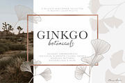 Ginkgo Botanicals - Florals & Leaves