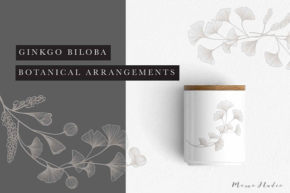 Ginkgo Botanicals - Florals & Leaves in Illustrations - product preview 1