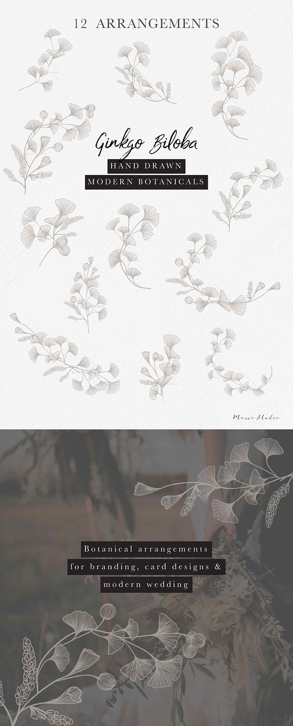 Ginkgo Botanicals - Florals & Leaves in Illustrations - product preview 2