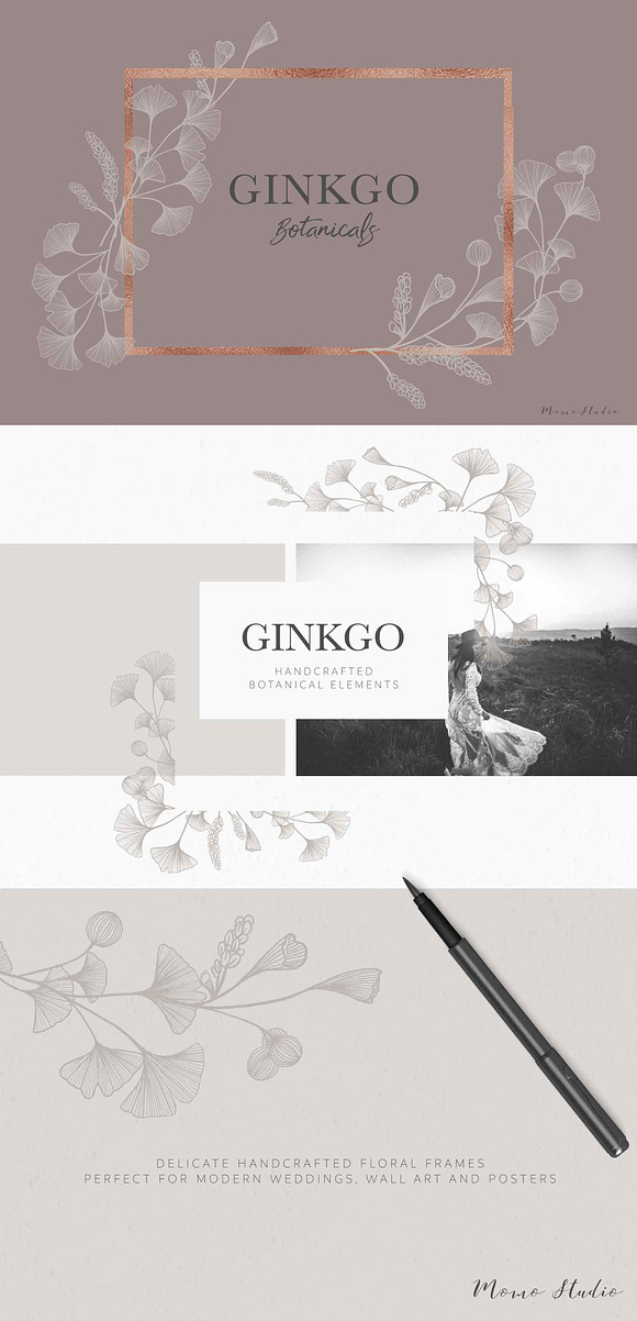Ginkgo Botanicals - Florals & Leaves in Illustrations - product preview 4