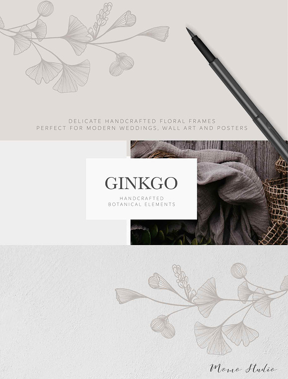 Ginkgo Botanicals - Florals & Leaves in Illustrations - product preview 6