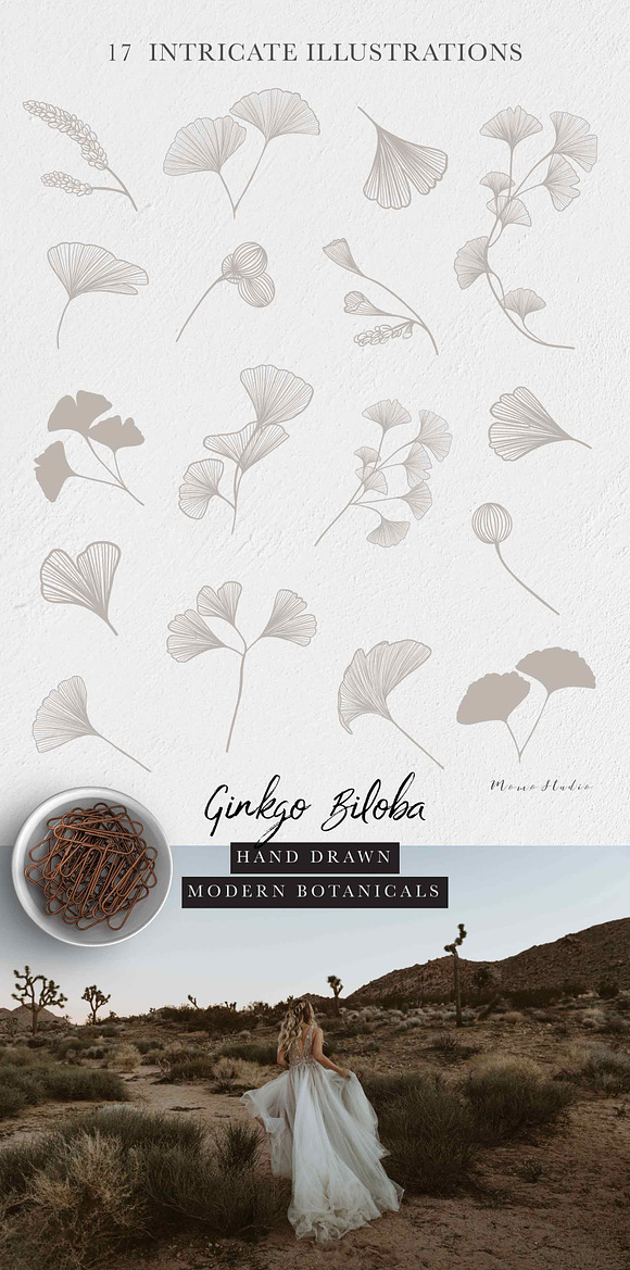 Ginkgo Botanicals - Florals & Leaves in Illustrations - product preview 7