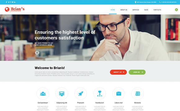 Consulting - WordPress Theme in WordPress Business Themes - product preview 4