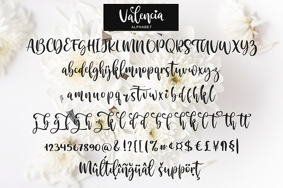 Valencia in Script Fonts - product preview 9