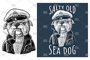 Sea dog smoking pipe and dressed in