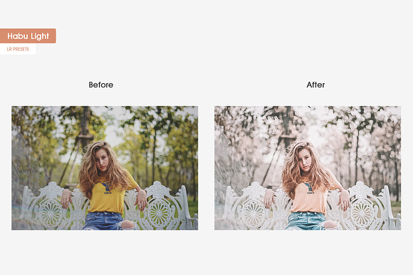 Habu Instagram Lightroom Presets in Add-Ons - product preview 3