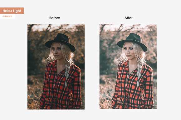 Habu Instagram Lightroom Presets in Add-Ons - product preview 4