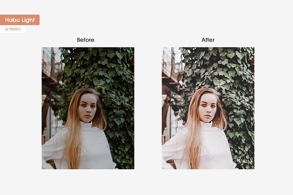 Habu Instagram Lightroom Presets in Add-Ons - product preview 5