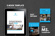 Business Report eBook 2020