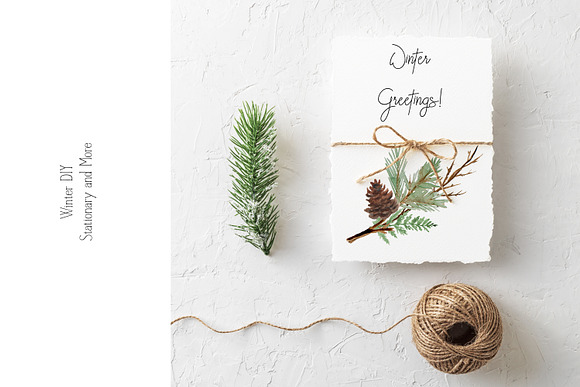 Winter Watercolor Greenery in Illustrations - product preview 7
