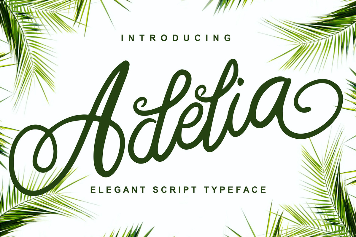 Adelia - Elegant Script Typeface in Script Fonts - product preview 8