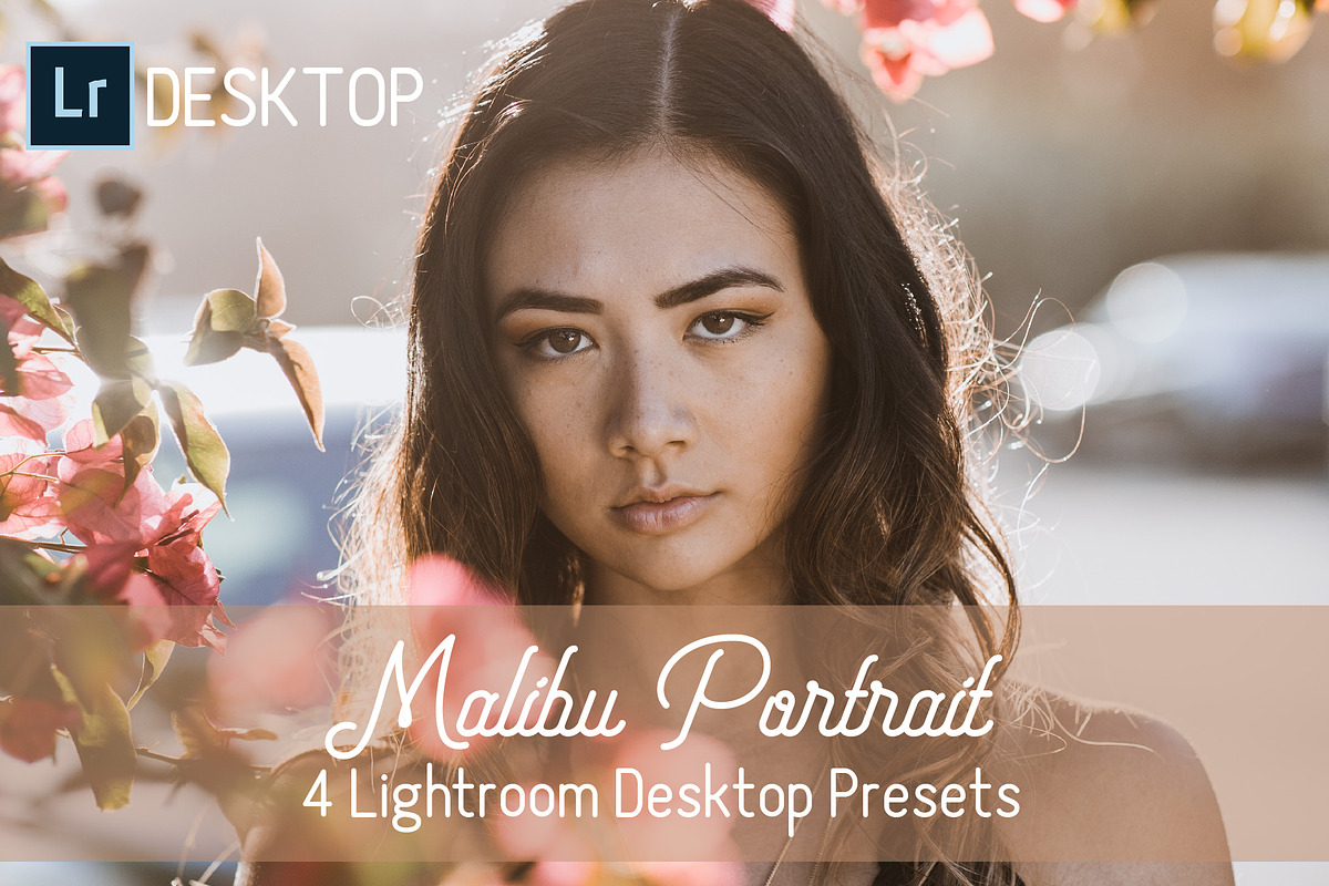 Malibu Portrait Desktop Presets in Add-Ons - product preview 8