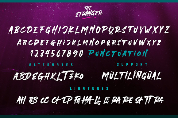 The Stranger - Font Duo Plus Extras in Display Fonts - product preview 9