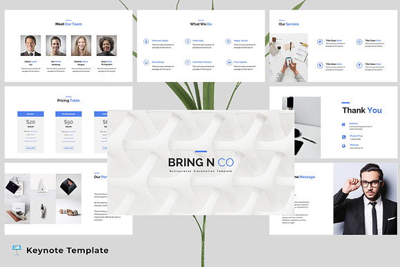 Bring N Co - Keynote Template in Keynote Templates - product preview 4