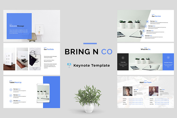 Bring N Co - Keynote Template in Keynote Templates - product preview 5