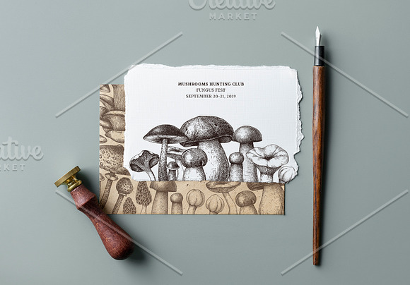 Vector Edible Mushrooms Collection in Objects - product preview 2