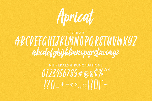 Apricat Brush Script in Display Fonts - product preview 6