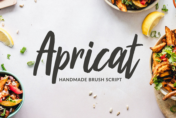 Apricat Brush Script in Display Fonts - product preview 7