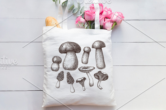 Vector Edible Mushrooms Collection in Objects - product preview 3