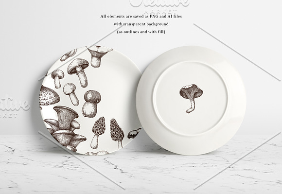Vector Edible Mushrooms Collection in Objects - product preview 4