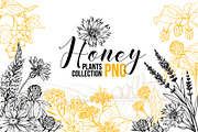 Honey Plants Engraving Collection