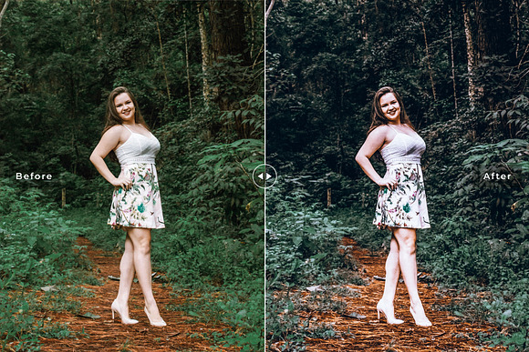 Forest Pro Lightroom Presets in Add-Ons - product preview 1