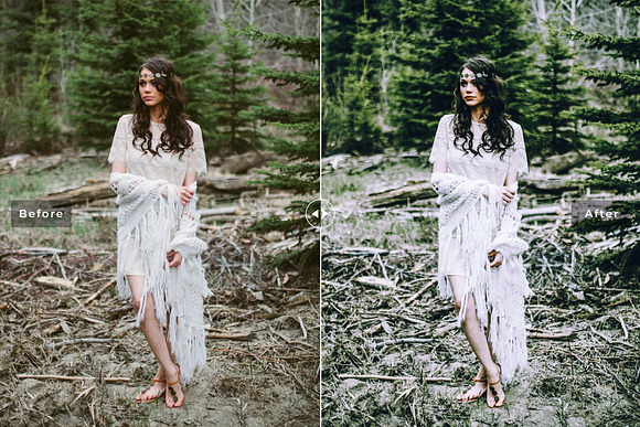Forest Pro Lightroom Presets in Add-Ons - product preview 3