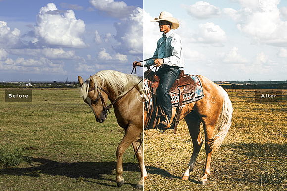 Texas Pro Lightroom Presets in Add-Ons - product preview 2