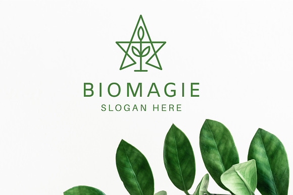 Biomagie Logo Template in Logo Templates - product preview 2