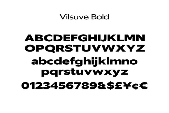 Vilsuve - wide sans in Sans-Serif Fonts - product preview 12